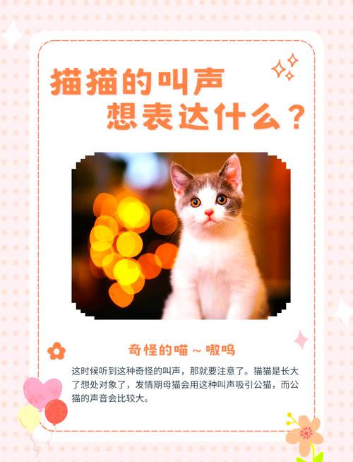 揭秘猫咪的健康密码，理解它们正常呼吸的秘密