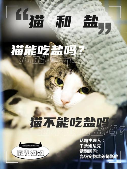 猫咪吃盐，为什么这是个大问题？