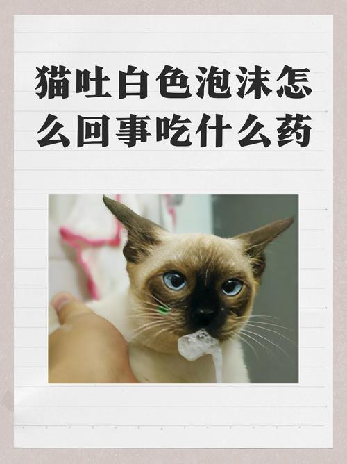 猫咪拉稀泡沫，原因与应对策略