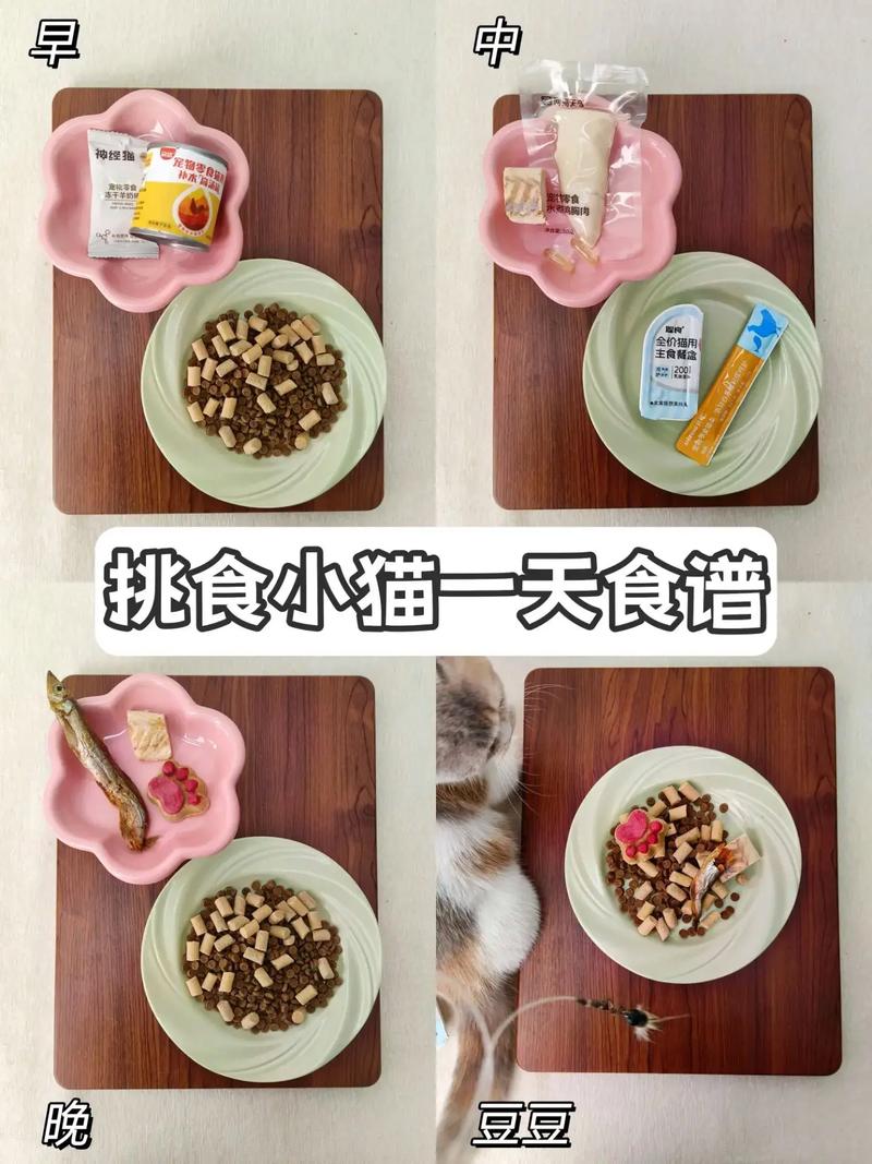 猫咪挑食？了解它们的饮食需求让喂养不再头疼