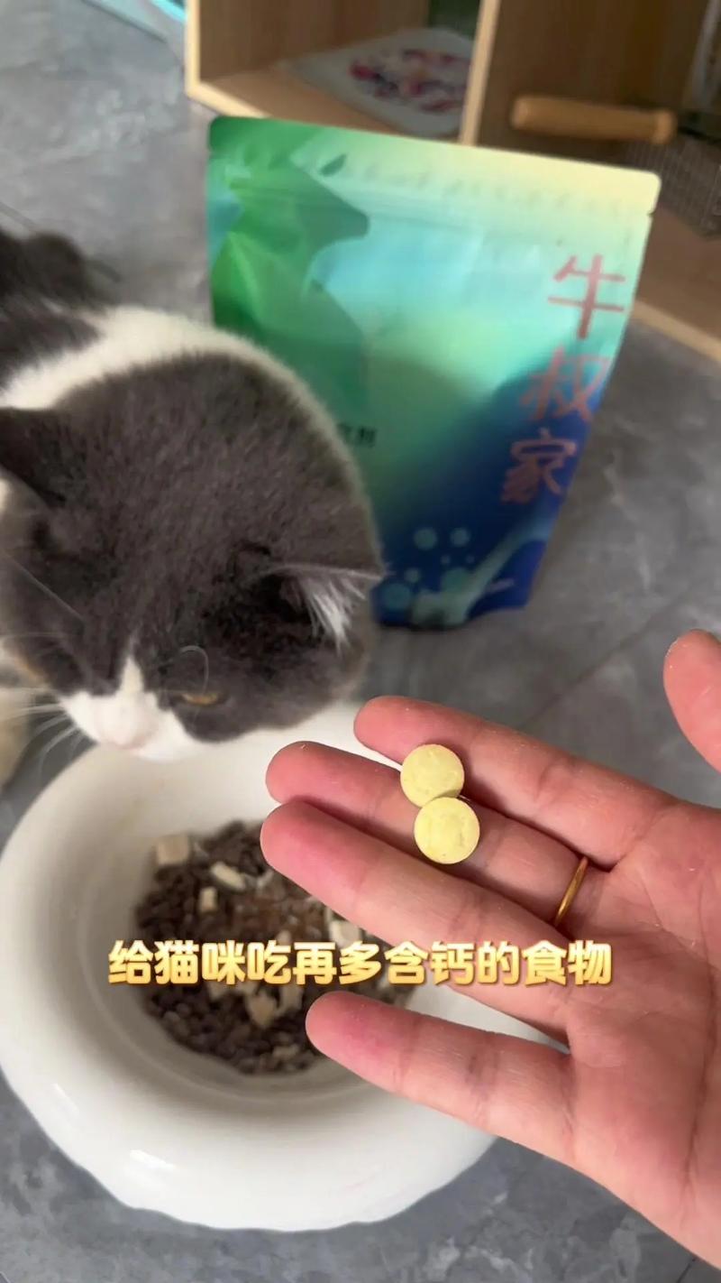 猫咪缺钙？这些症状你得知道