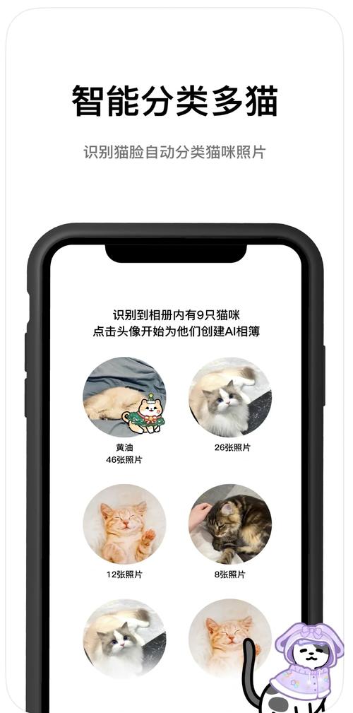 揭秘猫咪测试游戏背后的科学原理与趣味性