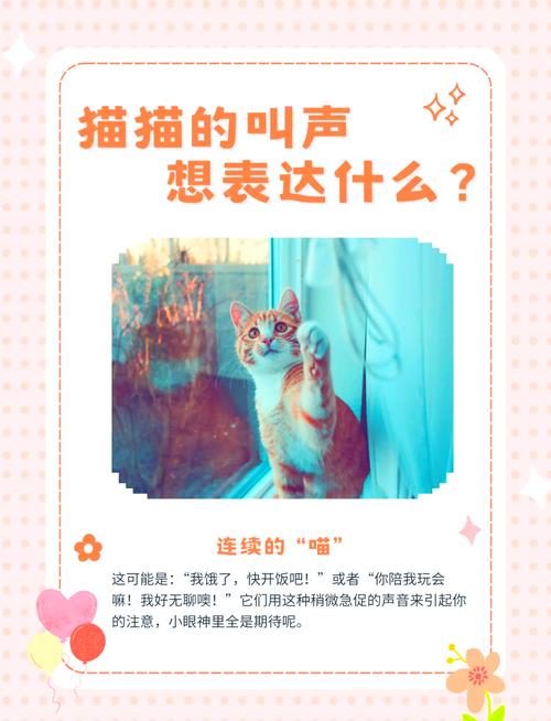 揭秘猫咪的独特利爪——揭秘猫咪舌头的秘密