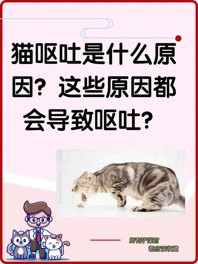 猫咪呕吐血，了解症状与紧急处理