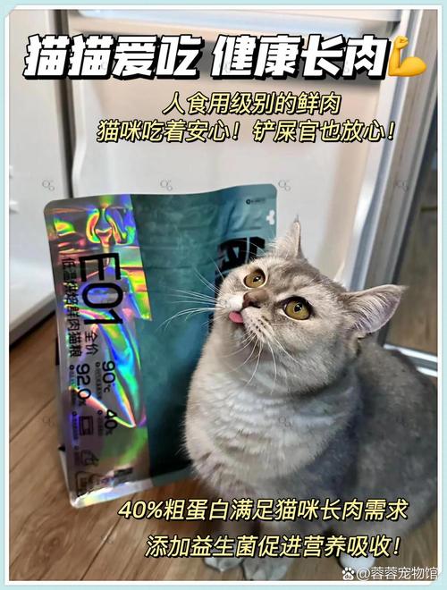 揭秘！澳大利亚猫咪价格的猫贵秘密