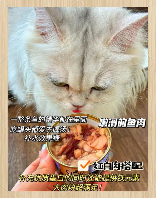 猫咪美食，揭秘它们爱吃的秘密