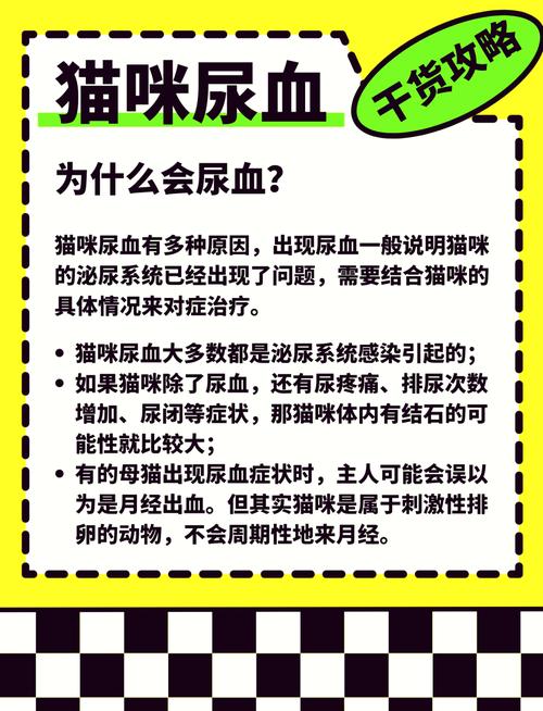 猫咪的小麻烦——揭秘尿道阻塞