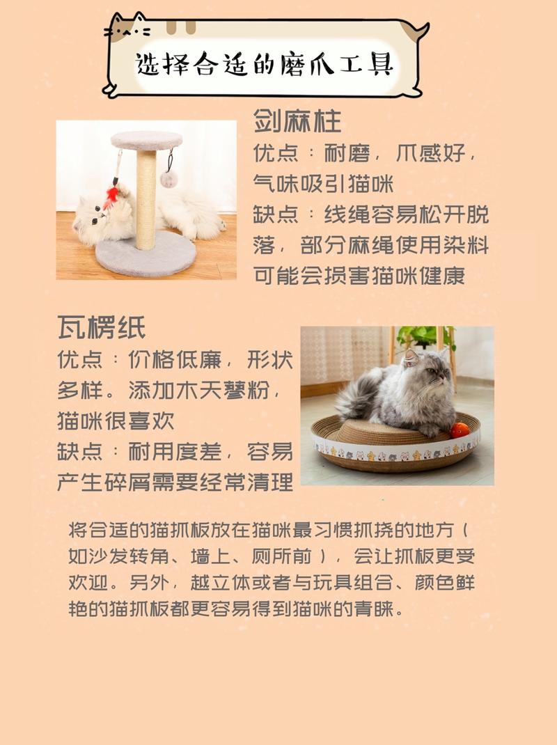 猫咪爪子化脓，预防与护理指南