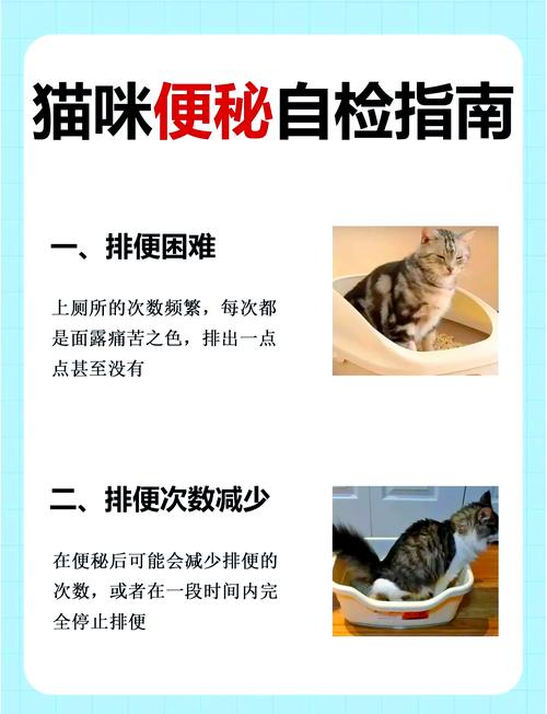 猫咪 经常便秘