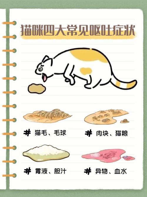 猫咪产后饮食指南，科学营养支持母爱绽放