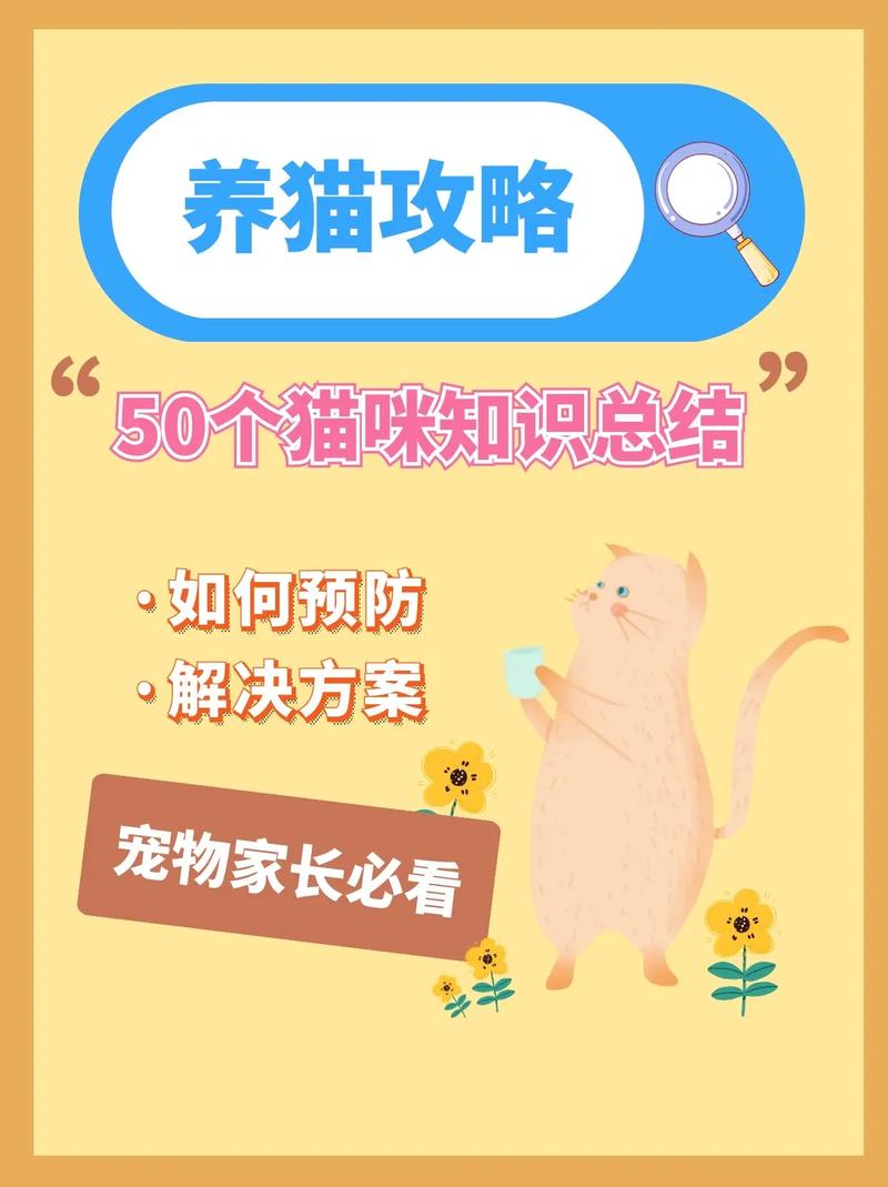 猫咪也能享受麦片——营养小贴士与科学喂养指南