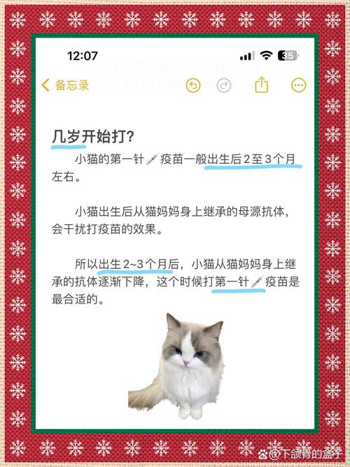 猫咪打针全攻略，安全又安心