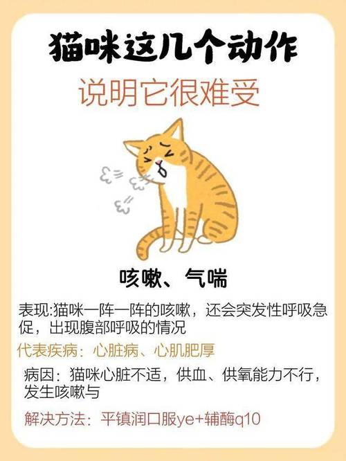 猫咪气喘的背后真相，潜在健康问题的警钟