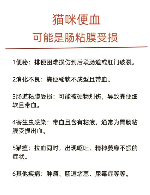 猫咪大便次数异常，常见原因及预防措施