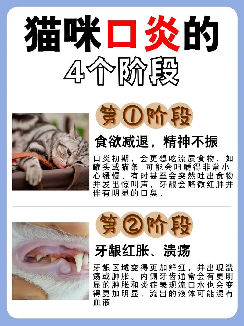 猫咪嘴唇起泡，了解原因与预防