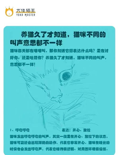 从猫到人，探索体重与体型背后的秘密