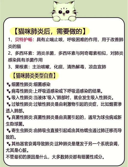 猫咪肺炎的严重性，预防与治疗的重要性