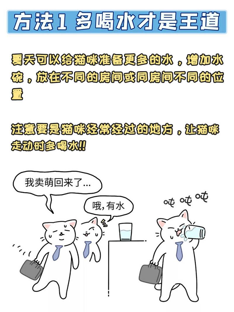 猫咪也怕热，夏日里如何保护它们？