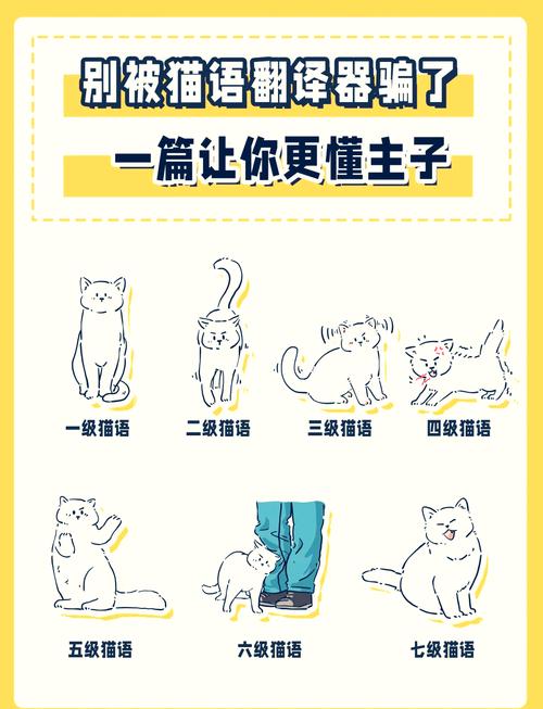 揭秘猫咪品牌背后的神秘故事