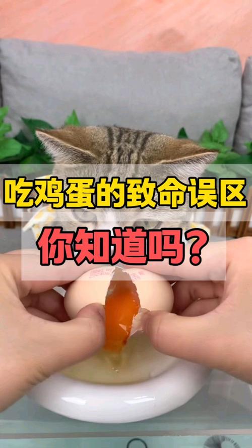 猫咪是否能安全享用鸡蛋？