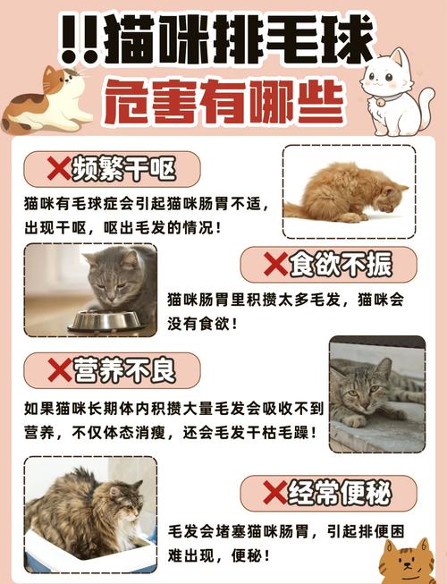 告别猫咪毛球烦恼，有效解决掉毛问题的实用指南