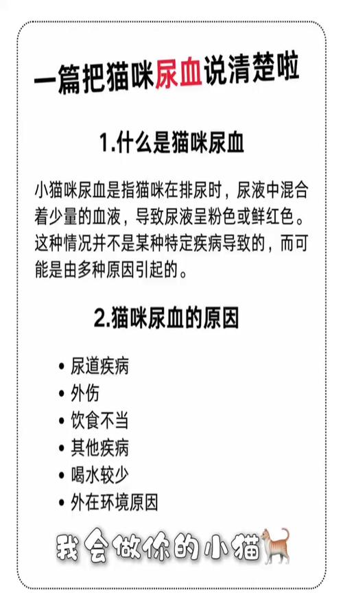 猫咪尿味大？这6个常见原因和解决办法你需要知道！