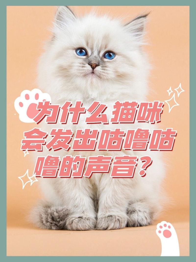 夜猫子的呼唤，为何猫咪总在夜晚喵喵叫