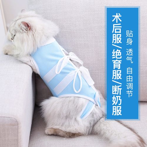 猫咪手术服视频