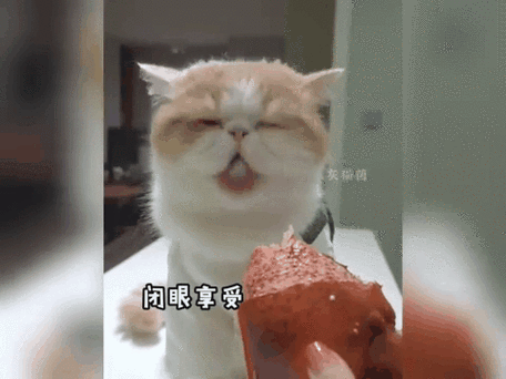 猫咪的美食之选——胡萝卜的魅力