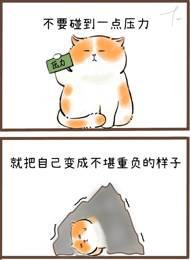 旧主人的阴影，猫咪不愿再食