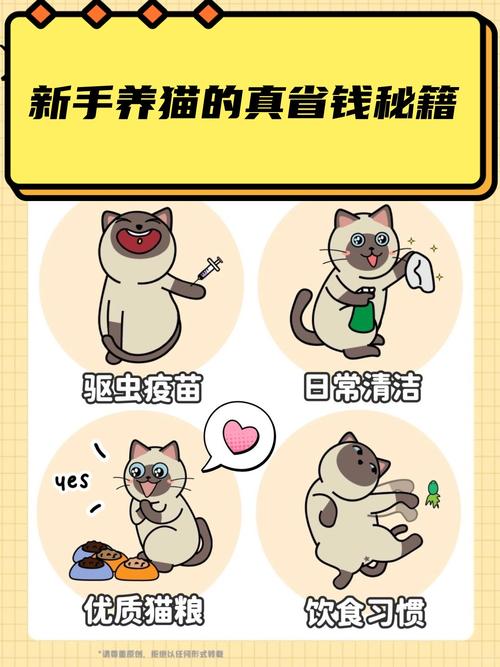 猫咪怀孕生病，如何护理和预防