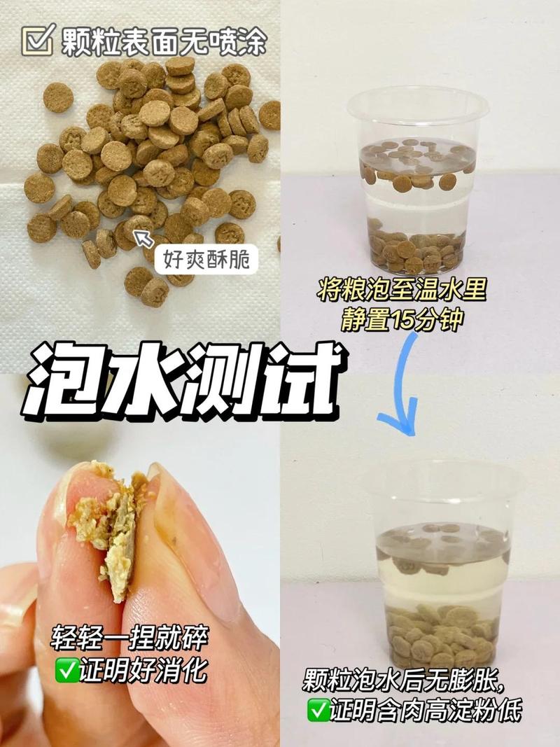 蛋黄的魔法，猫咪腹泻时的最佳食疗良方