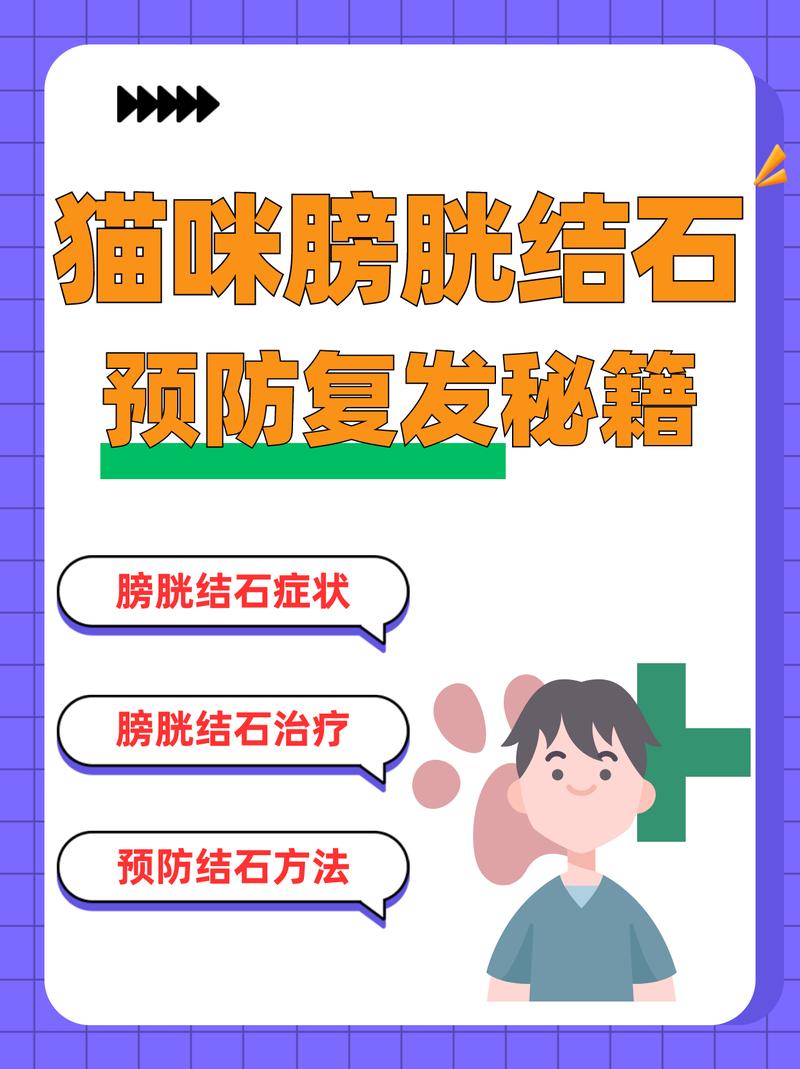 猫咪的结石之痛，了解、预防与治疗