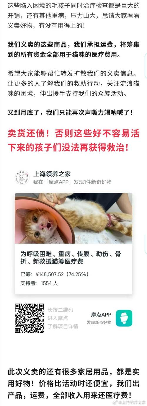 猫咪抽搐背后，一次紧急医疗求助