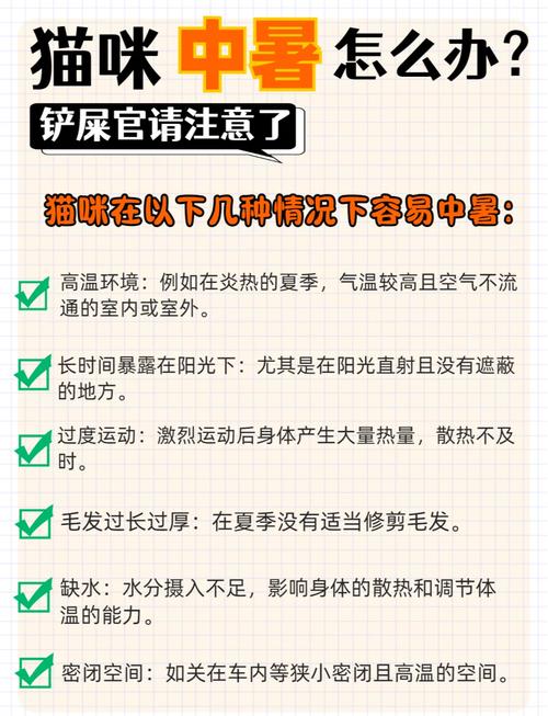 猫咪也会中暑吗？夏日如何给宠物降温