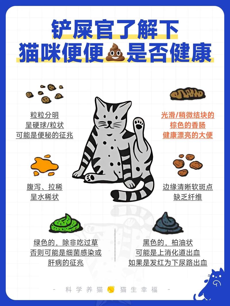 揭秘猫咪大便正常颜色的秘密