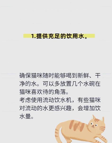 夏日炎炎，猫咪如何应对干燥的鼻子