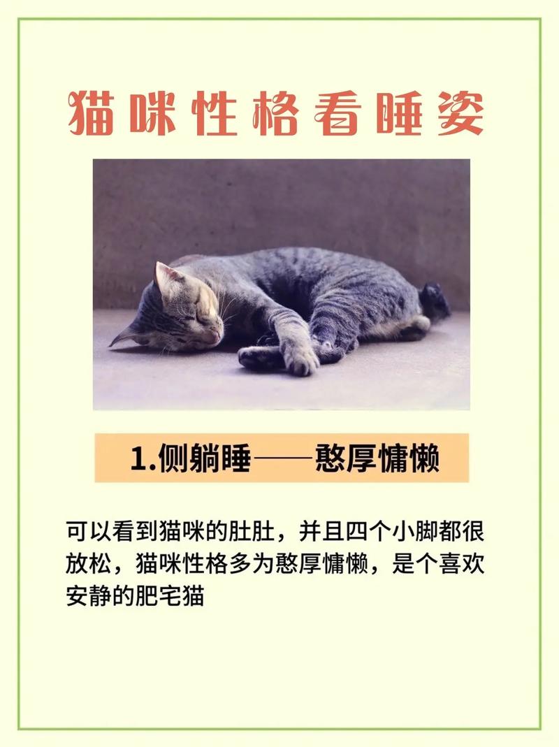 猫咪生病时为何会改变睡姿？