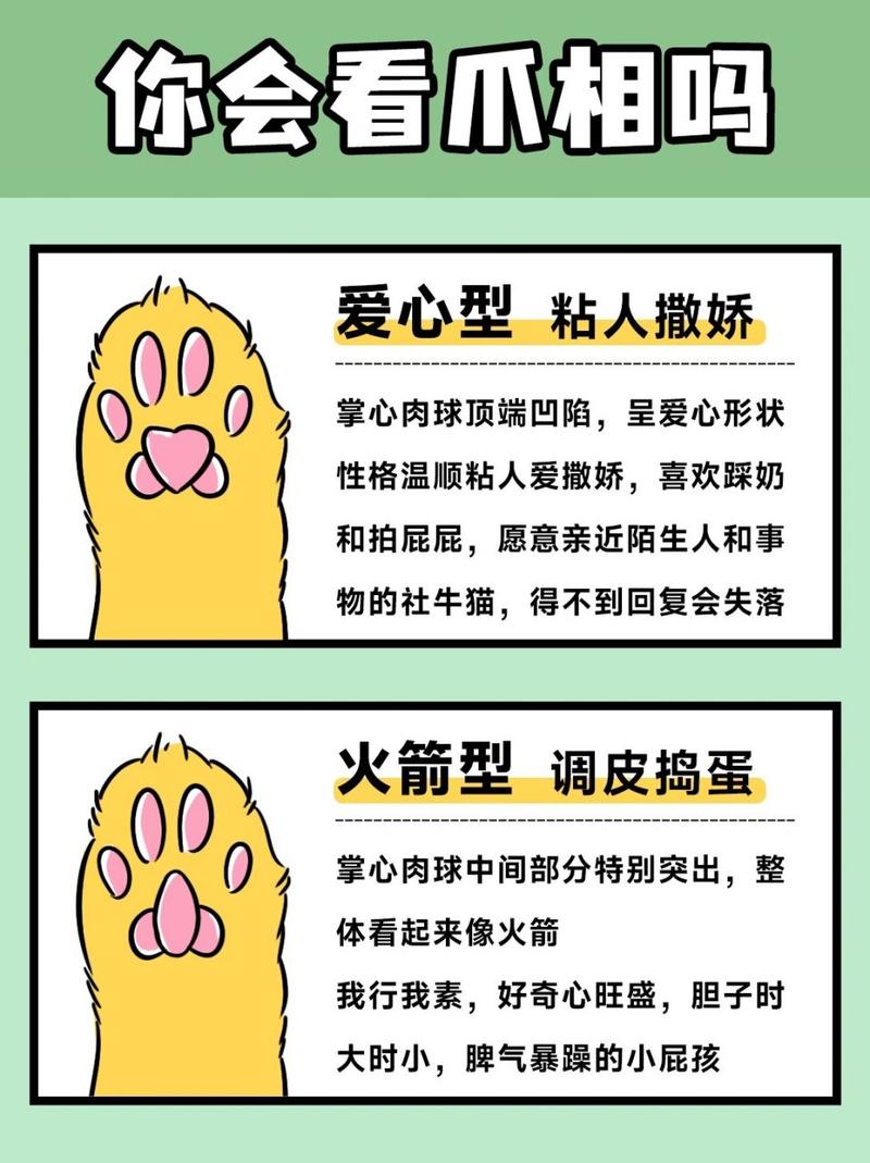 猫咪的爪子陷阱，了解为什么它们会这样做