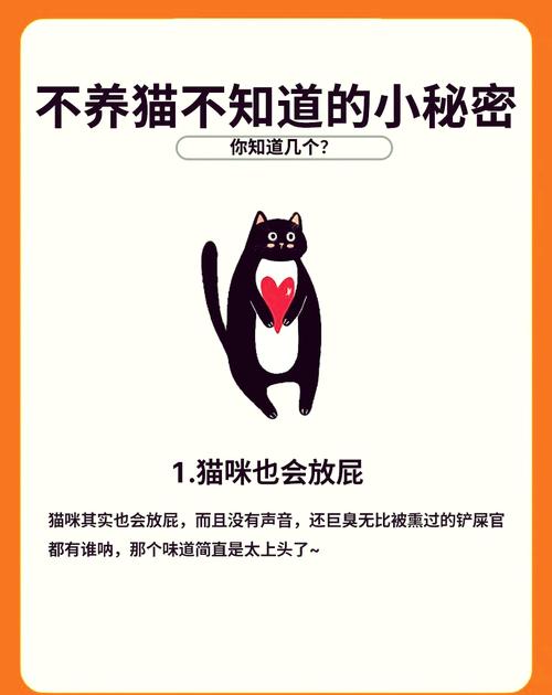 揭秘猫咪放屁的秘密，为什么这是完全正常的现象