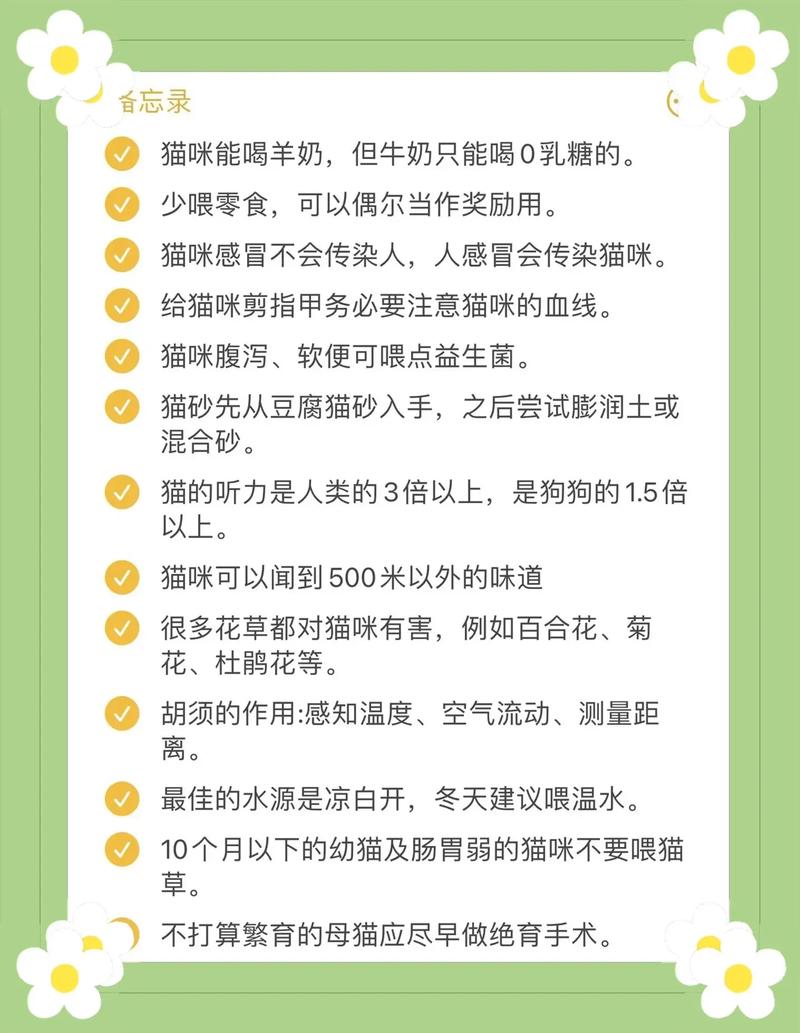 猫咪低温呕吐？如何正确应对？