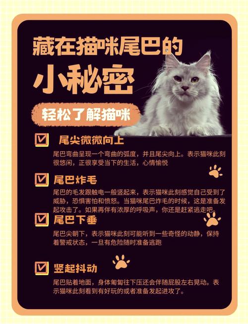 揭秘猫咪健康密码——解读正常口腔颜色的秘密