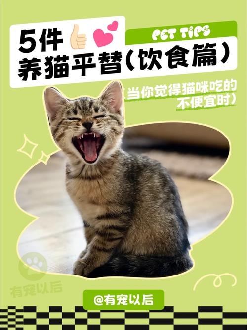 猫咪不吃卵磷脂