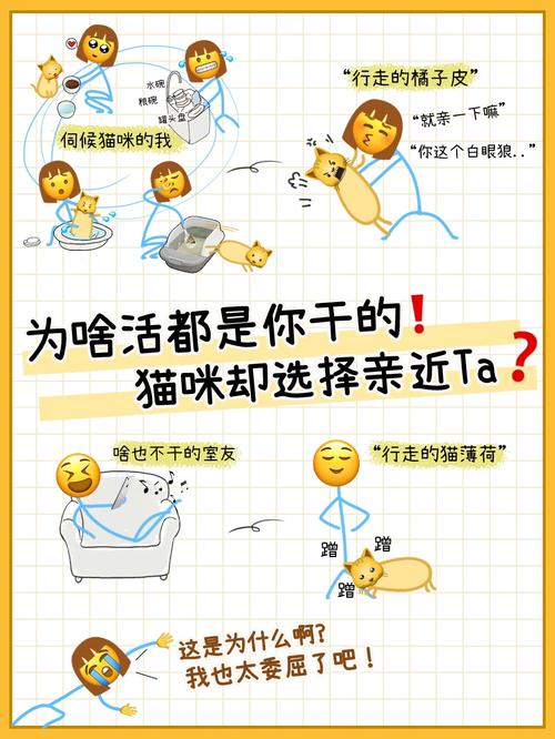 猫咪的温馨小秘密，为什么它们总是黏着你？