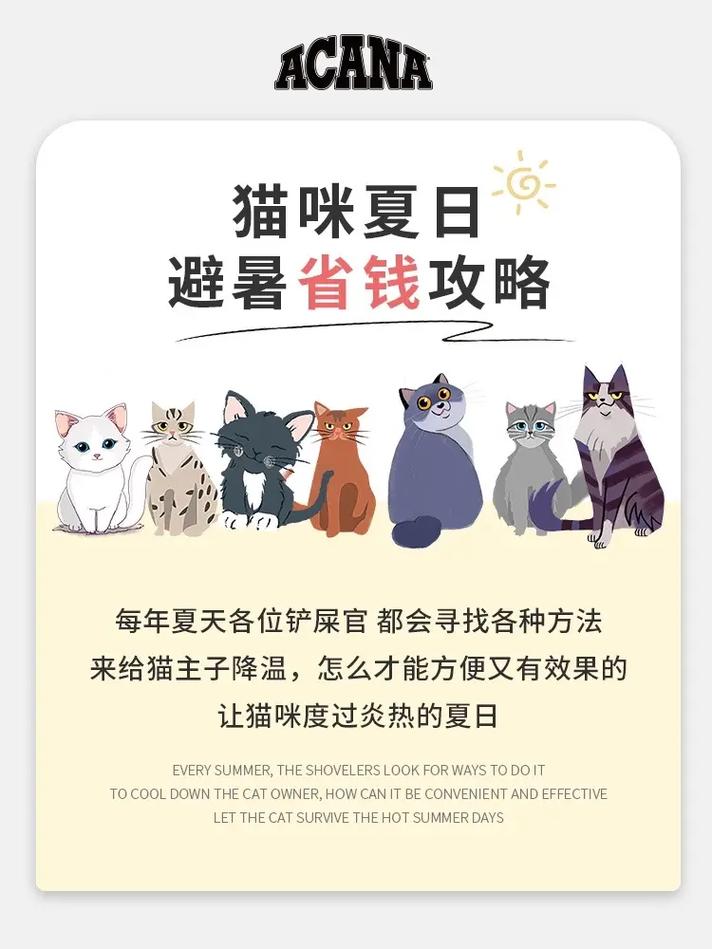 猫咪的夏日避暑秘籍