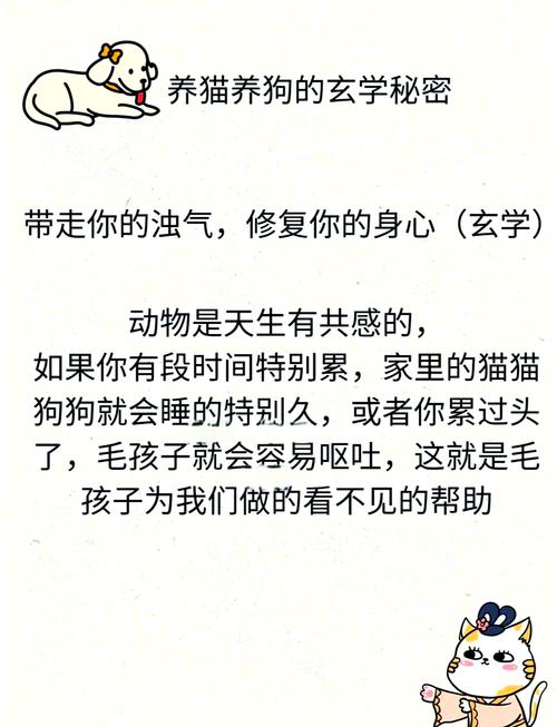 守护毛孩子健康的小秘密