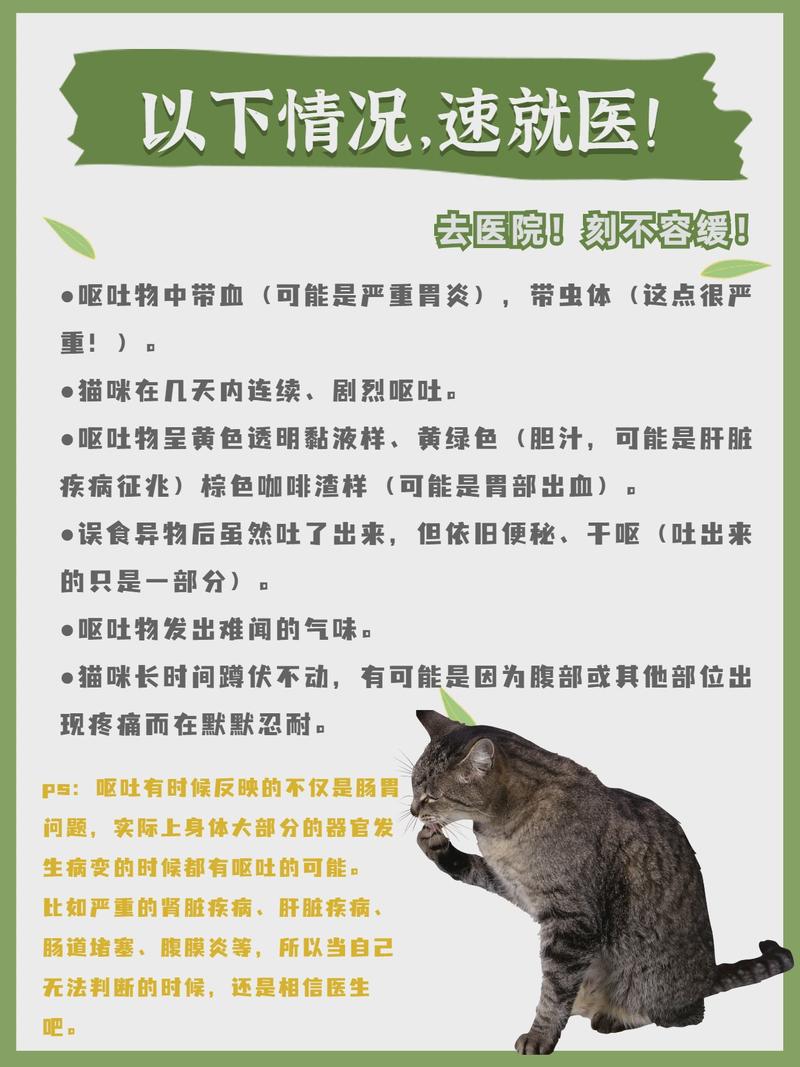 猫咪的自我清洁小秘密，揭秘它们为何会吐