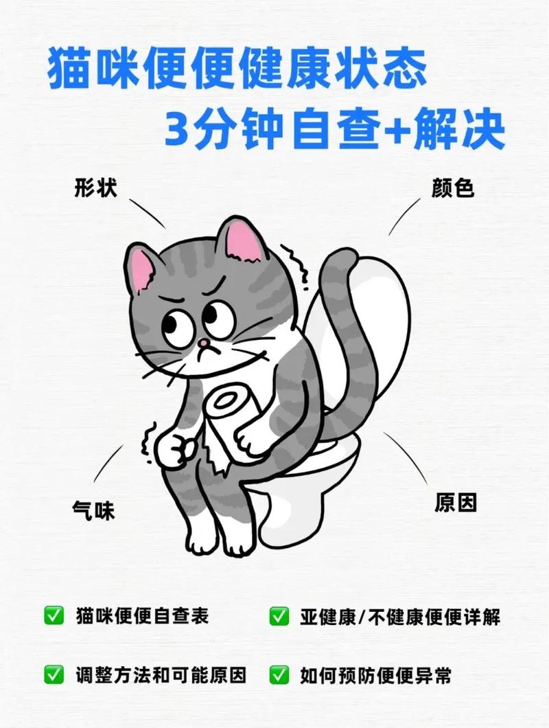 轻松搞定猫咪肠胃问题，全面指南