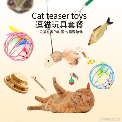 猫咪的玩具世界，探索它们最爱的娱乐方式