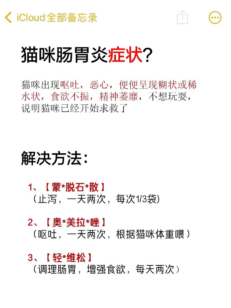 猫咪呕吐与拉稀，常见症状及应对措施